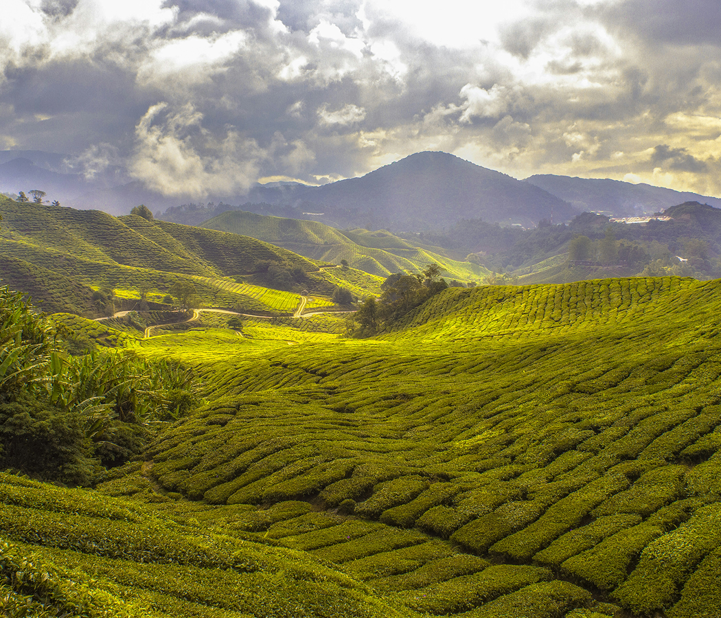 Why Malaysia’s charm is off the map