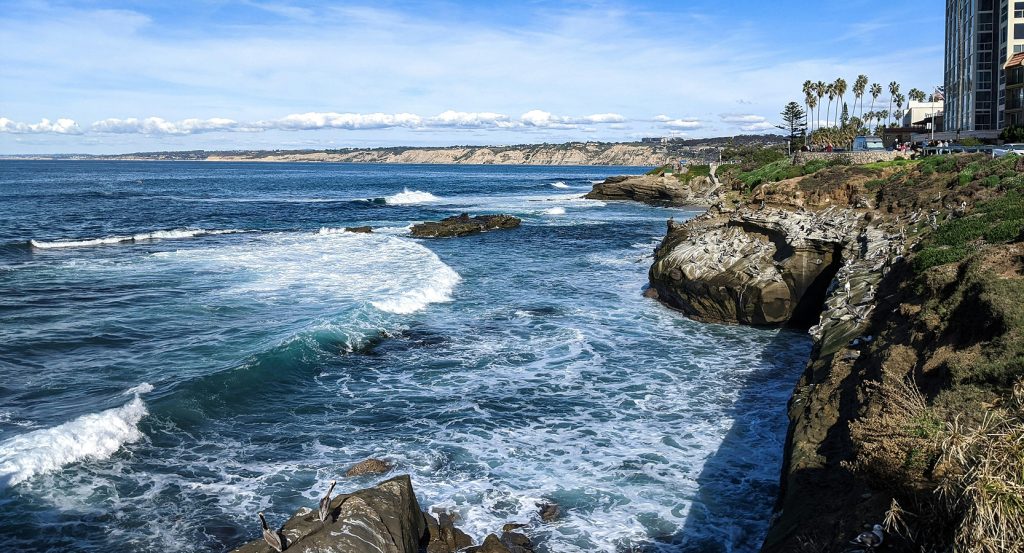 Sea lions lounging on the rocks at La Jolla Cove in San Diego