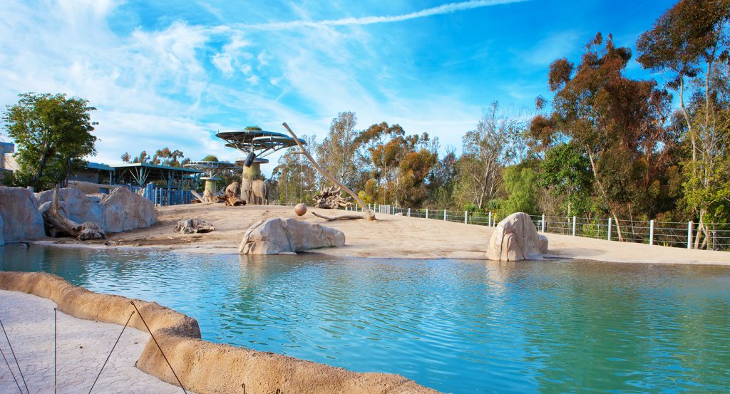 Aerial gondola Skyfari ride gliding above the San Diego Zoo