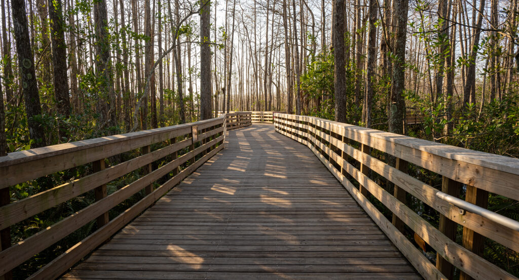 Scenic nature trail with wooden railing at Grassy Waters Preserve