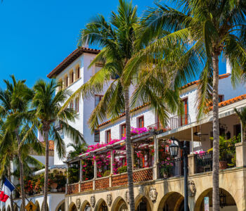Worth Avenue palm lined street in Palm Beach