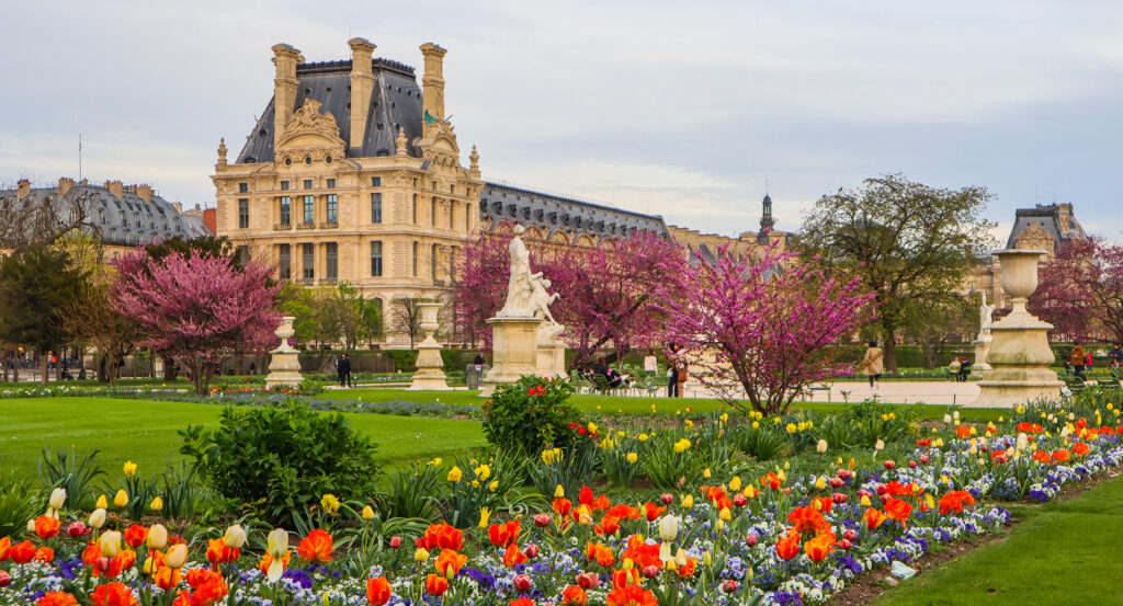 Scenic view of Tuileries Garden in Paris with blooming trees and historic architecture