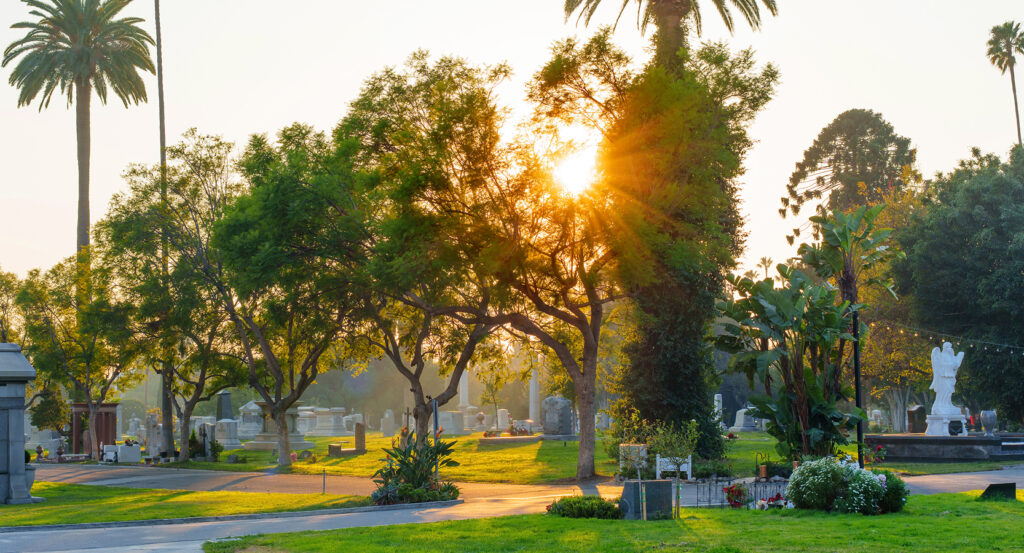 Palm trees and monuments at Hollywood Forever Cemetery with sun rays breaking through