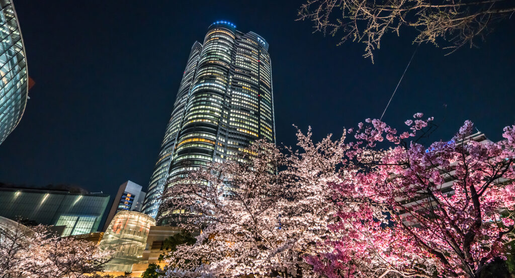 Night view of Mori Tower in Roppongi Hills Tokyo with cherry blossoms in the foreground