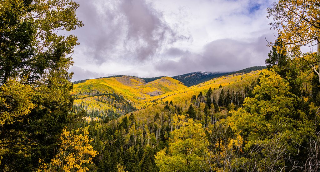 Scenic mountain view in Santa Fe National Forest