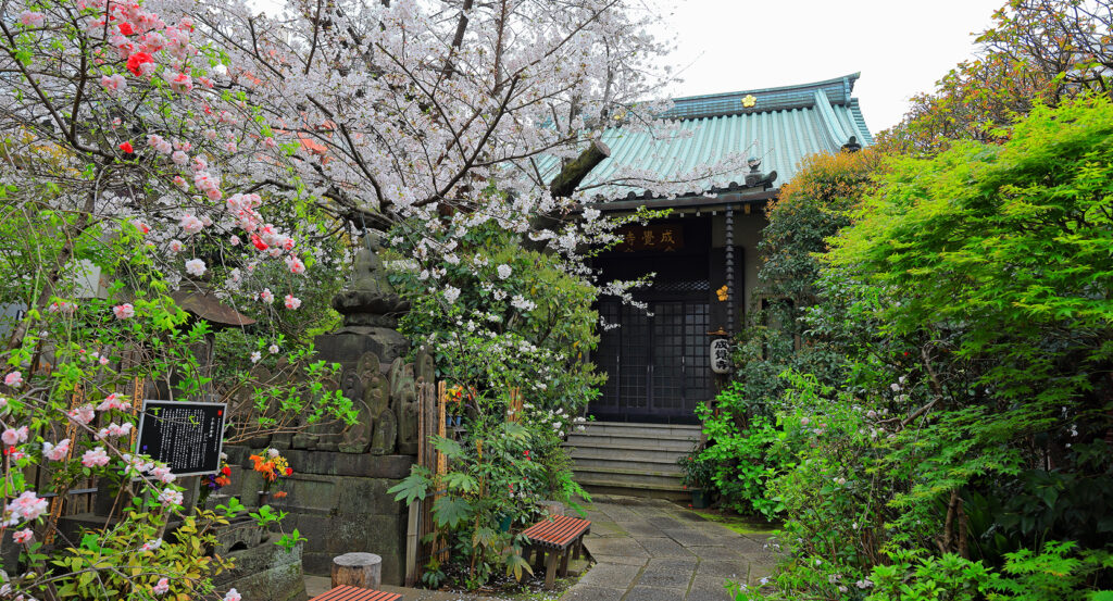Traditional temple surrounded by greenery in Shinjuku Gyoen, Tokyo