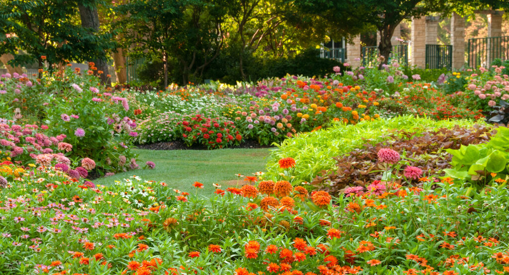 Manicured pathways surrounded by colorful gardens at the Dallas Arboretum