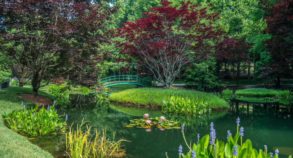 Scenic view of vibrant trees and water lilies at Atlanta Botanical Garden