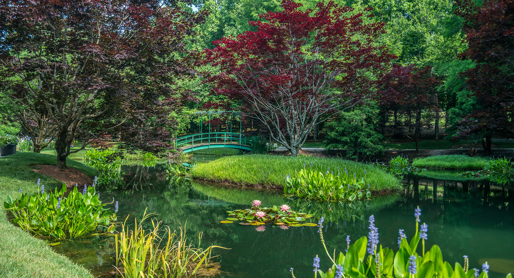 Atlanta Botanical Garden