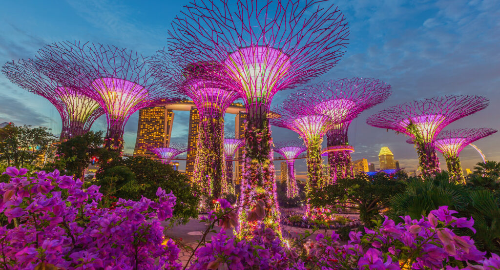 Vibrant night lights and flowers at Gardens by the Bay Singapore