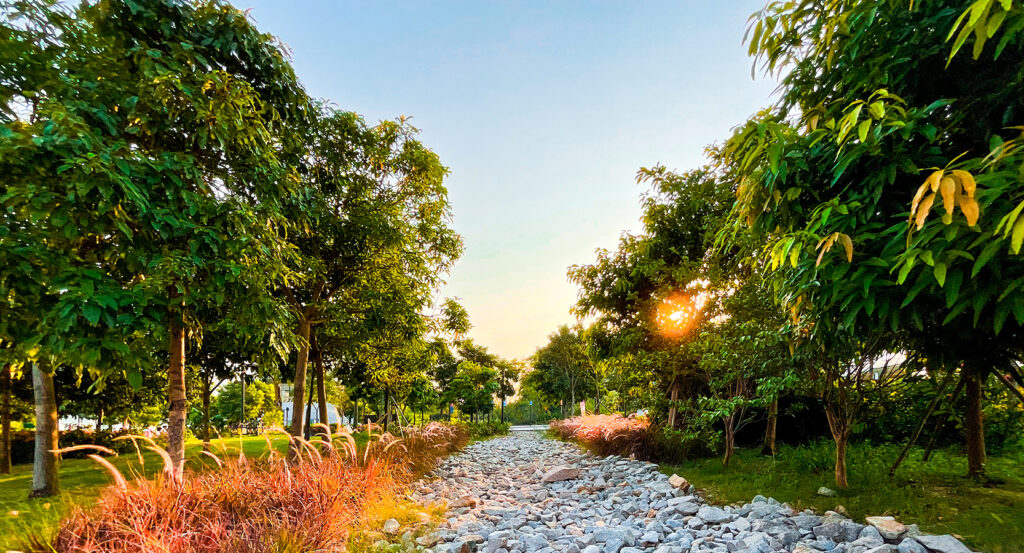 Sunset view through greenery in Hong Kong’s West Kowloon Cultural District