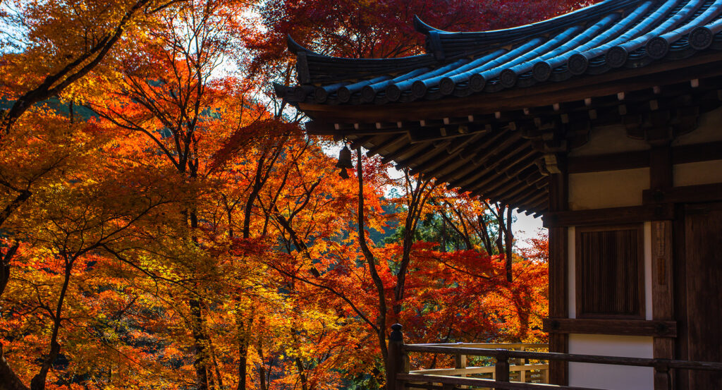 Wooden balcony of Eikando Temple with colorful fall foliage