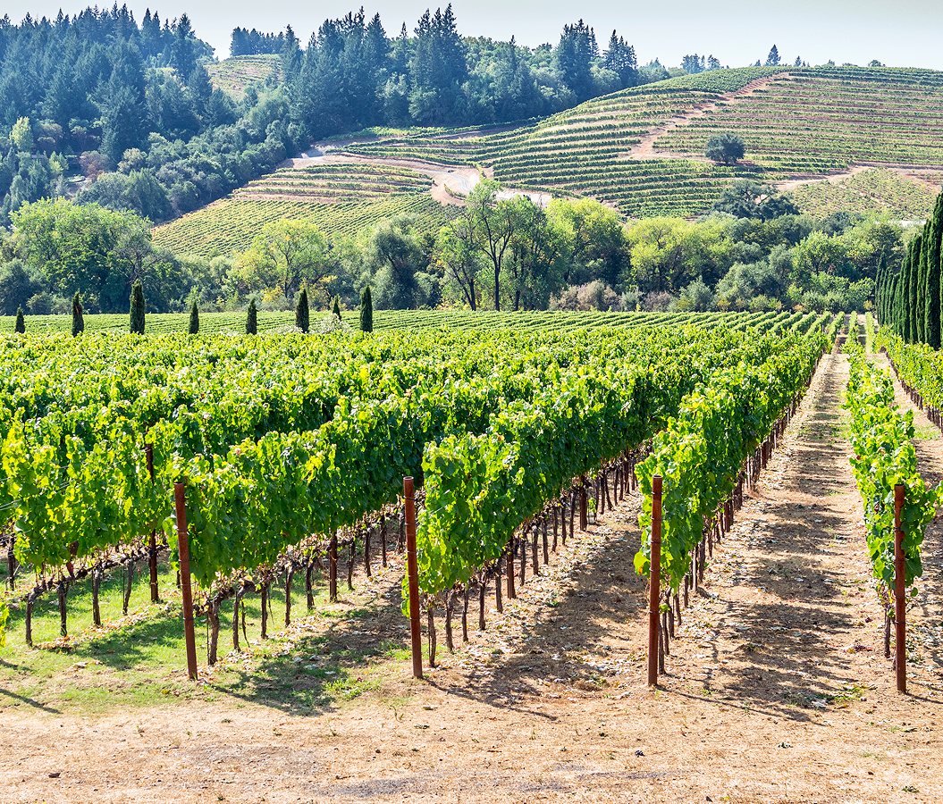 Best places to stay in Napa