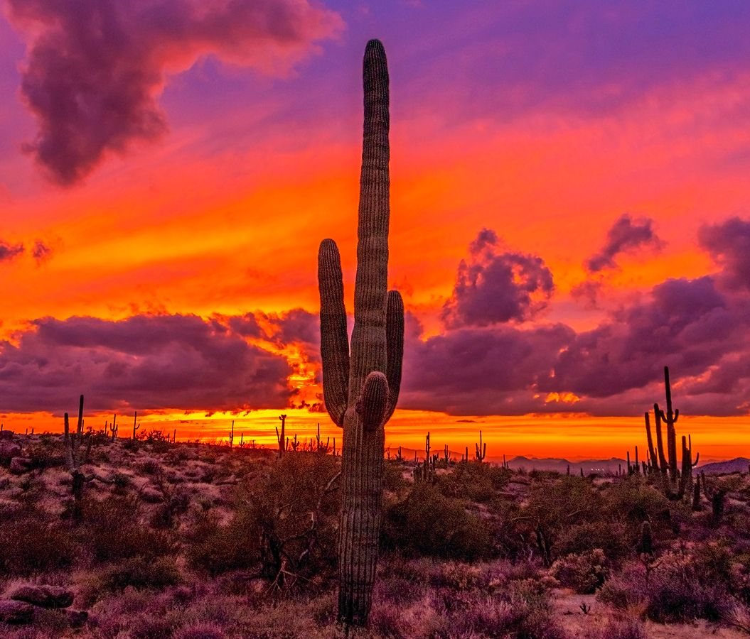 Best places to stay in Phoenix