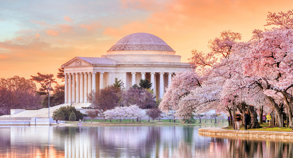 Jefferson Memorial reflecting on the Tidal Basin during cherry blossom season in Washington, DC