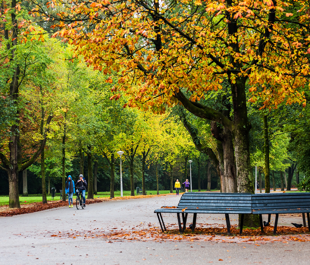 What Amsterdam teaches you about freedom