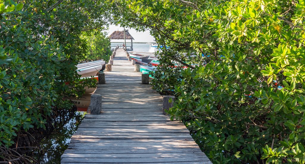 Colorful boats tied to a rustic dock in a quiet inlet near Cabo.