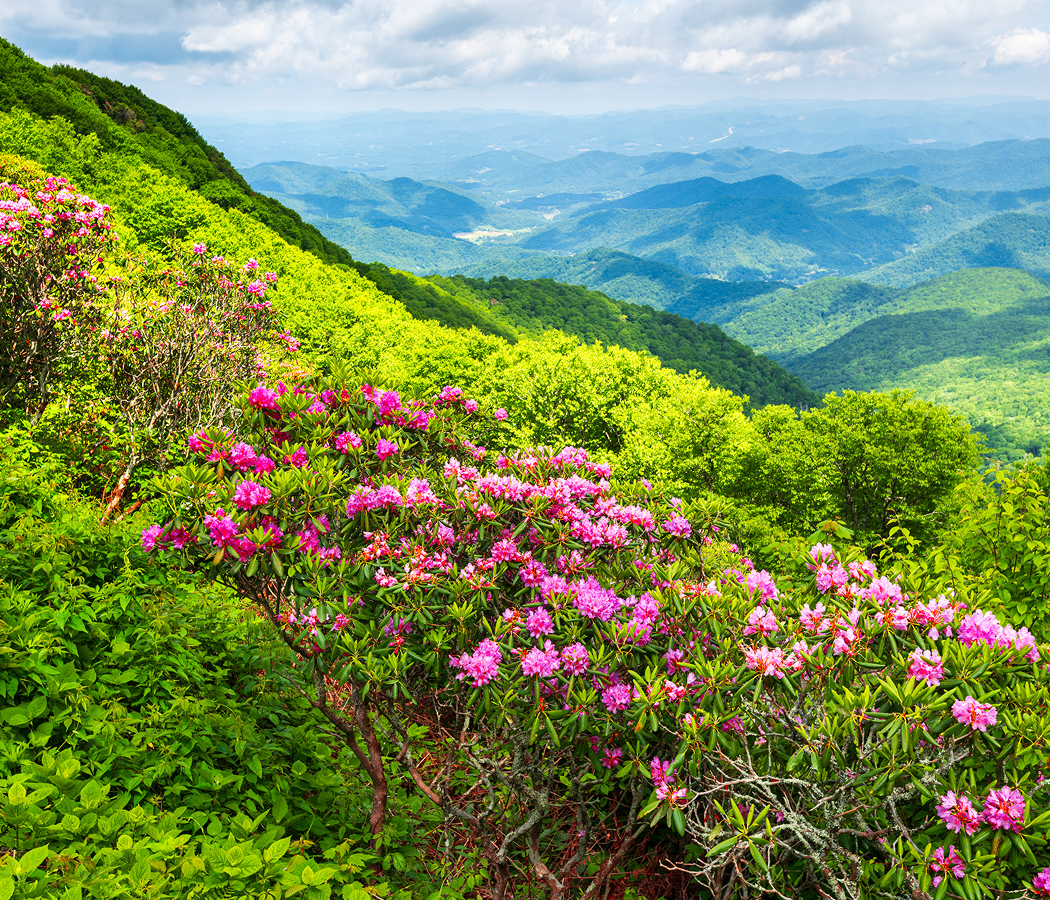 5 fascinations about Asheville