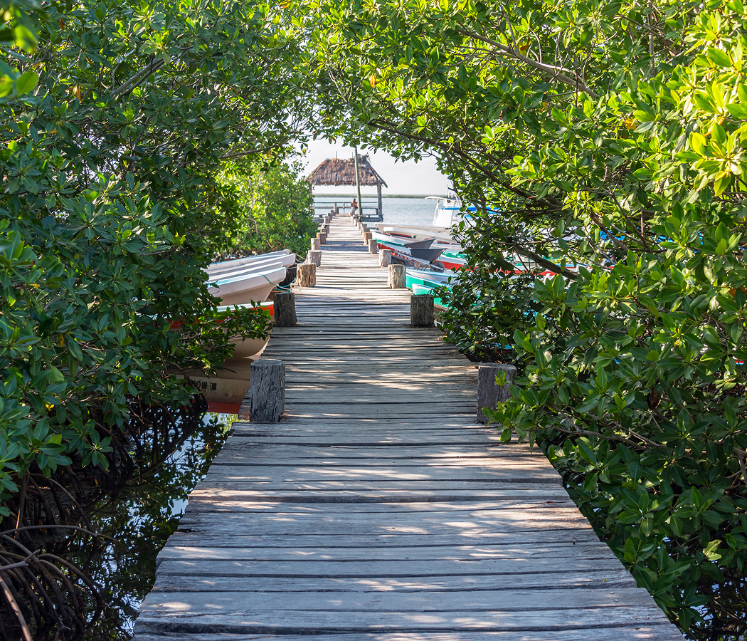 5 fascinations about Cabo San Lucas