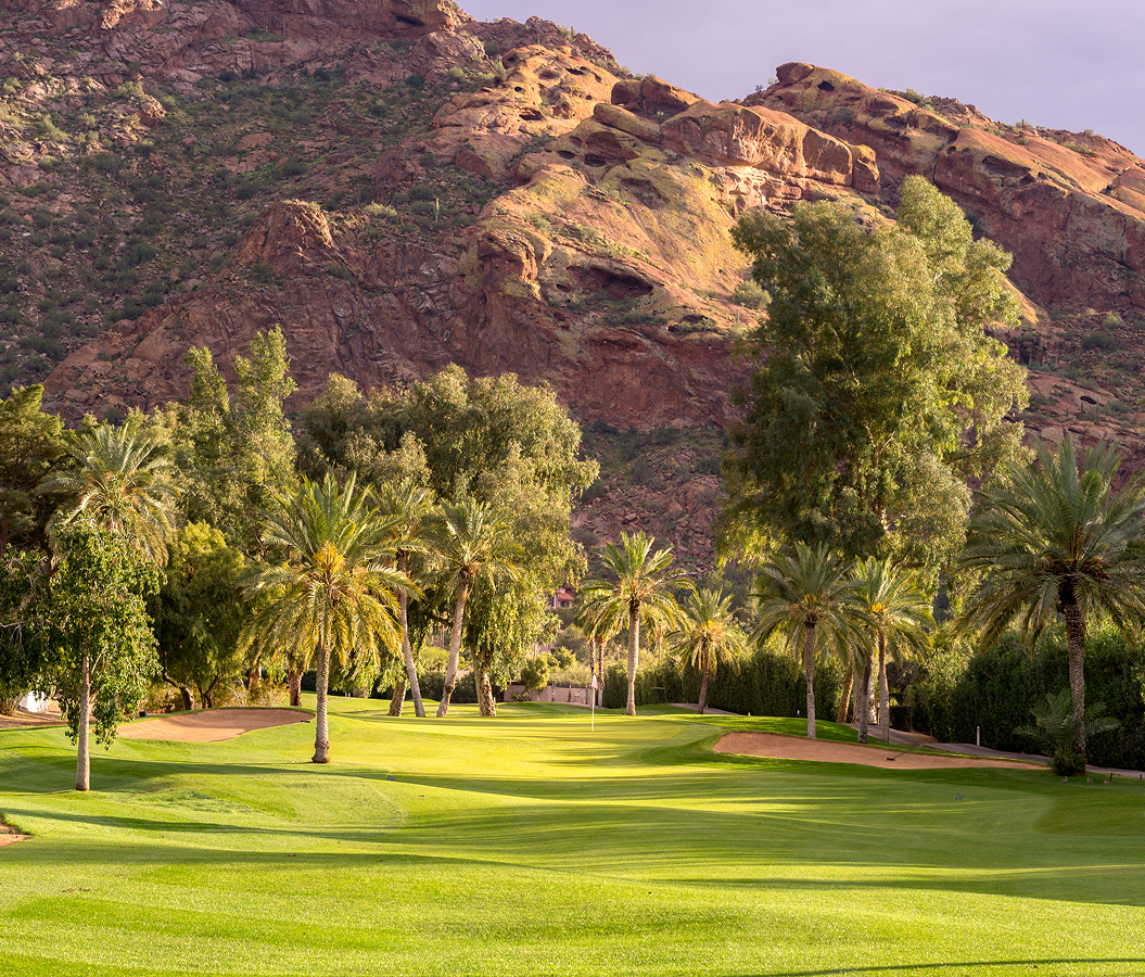 5 fascinations about Phoenix