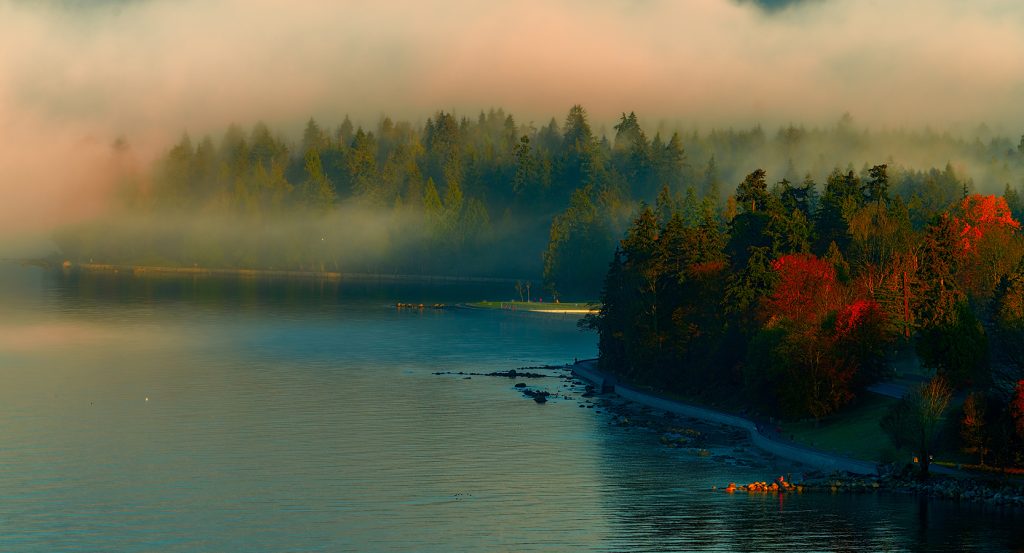 Foggy autumn morning along Vancouver’s Stanley Park seawall trail