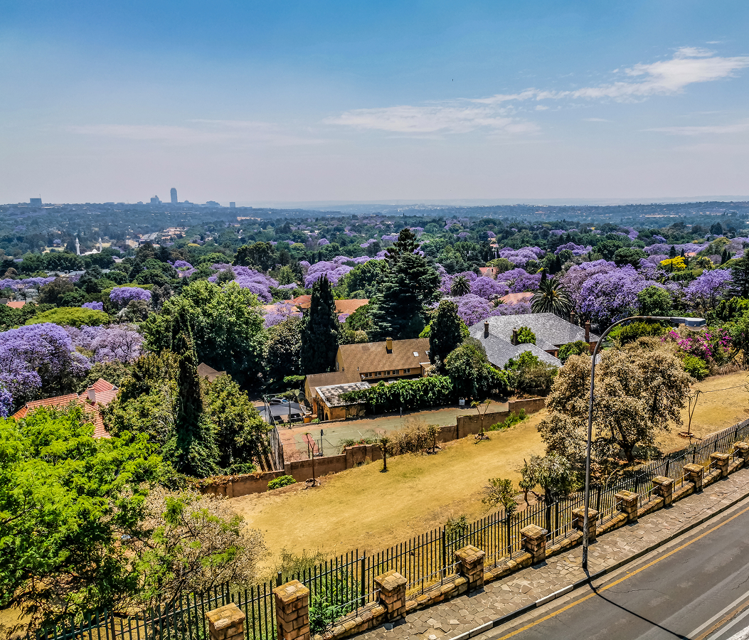 5 fascinations about Johannesburg
