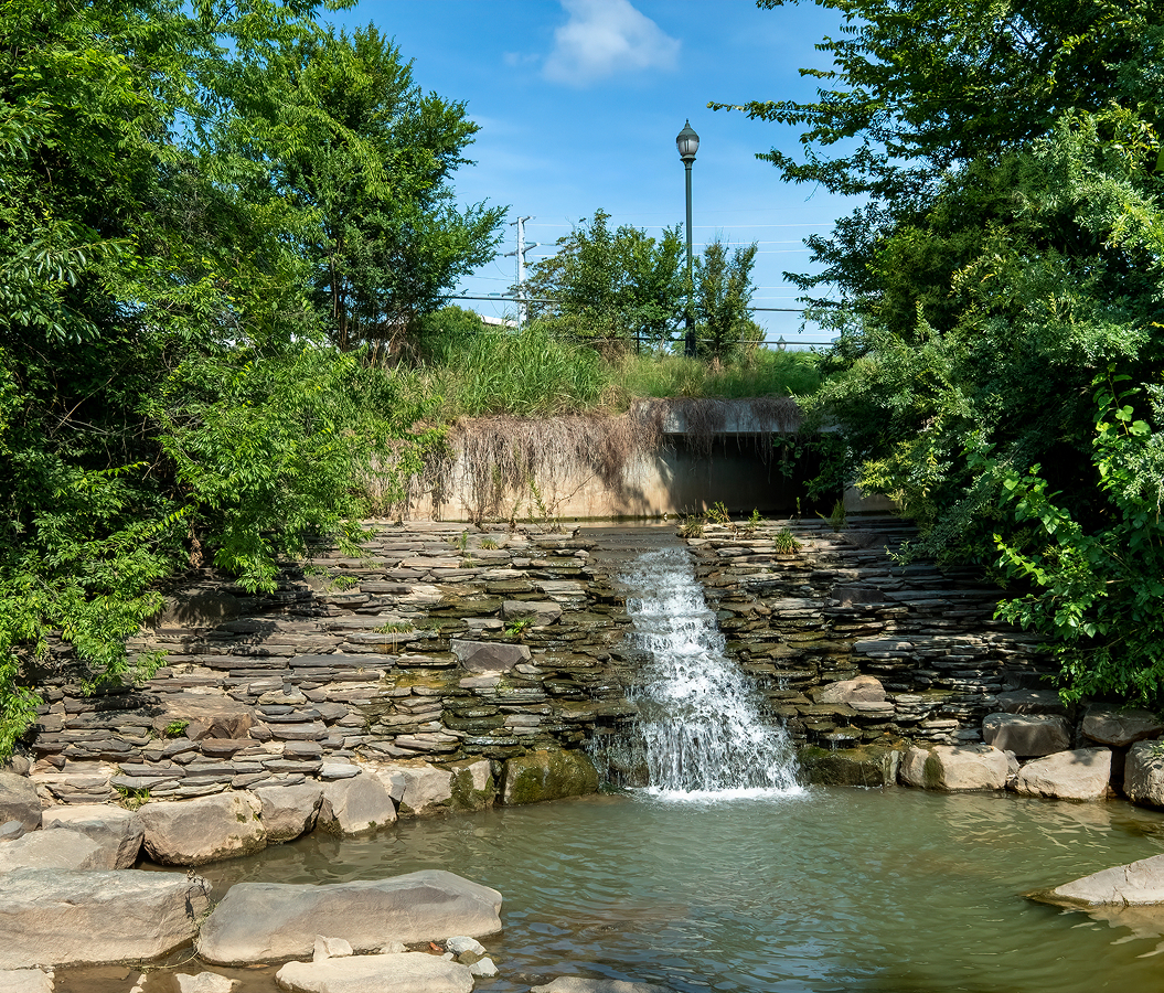 5 fascinations about Charlotte