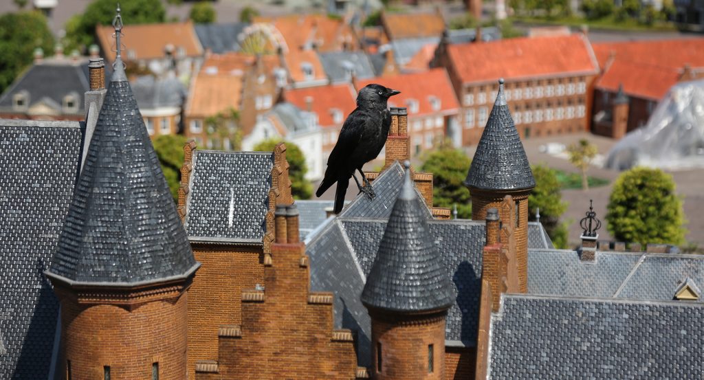 Detailed view of Dutch miniature buildings with a real bird in contrast at Madurodam.