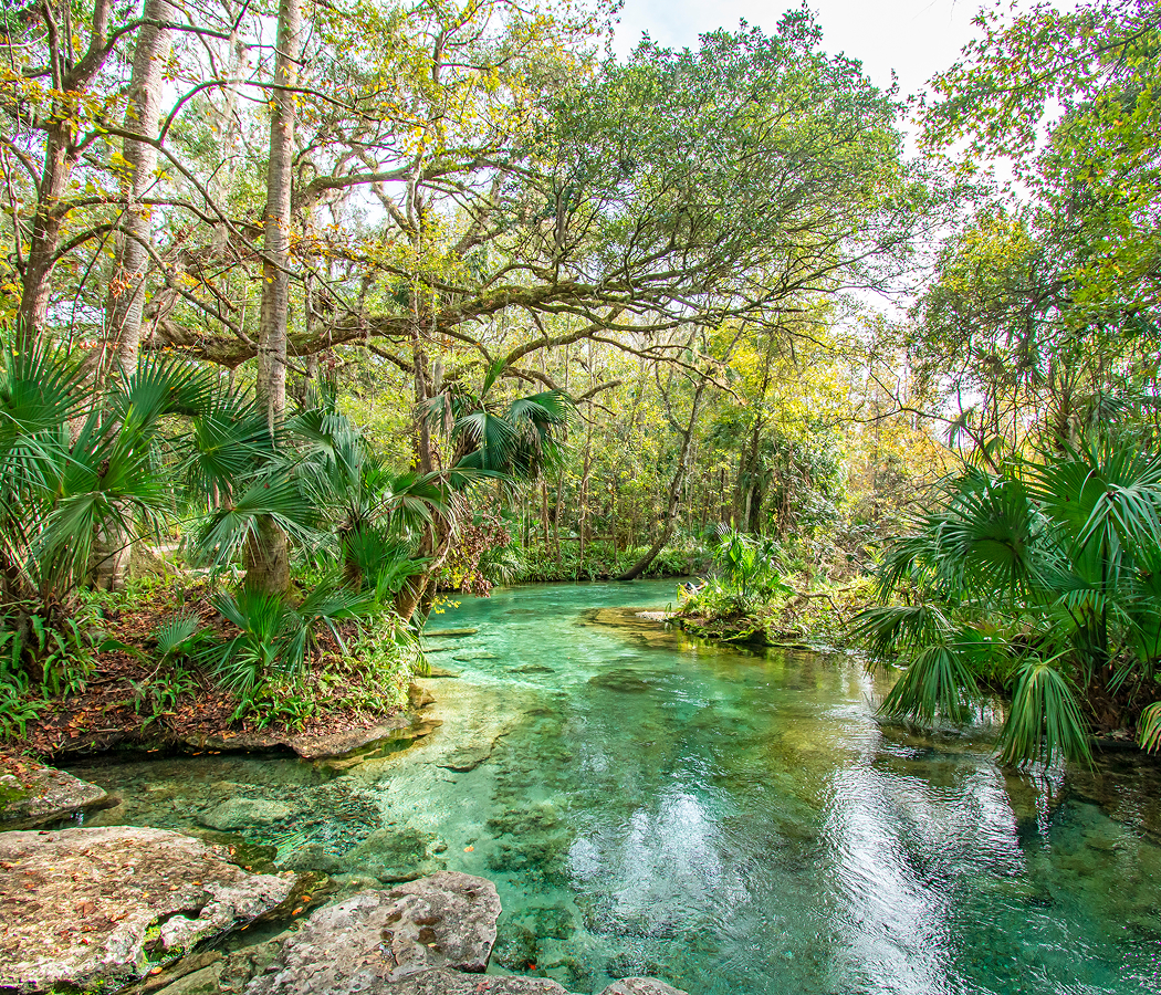 5 fascinations about Orlando