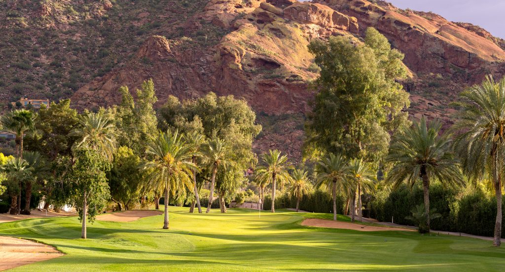 Desert oasis with palm trees and red rock formations in Phoenix, Arizona