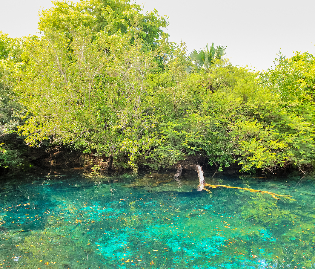5 fascinations about Punta Cana
