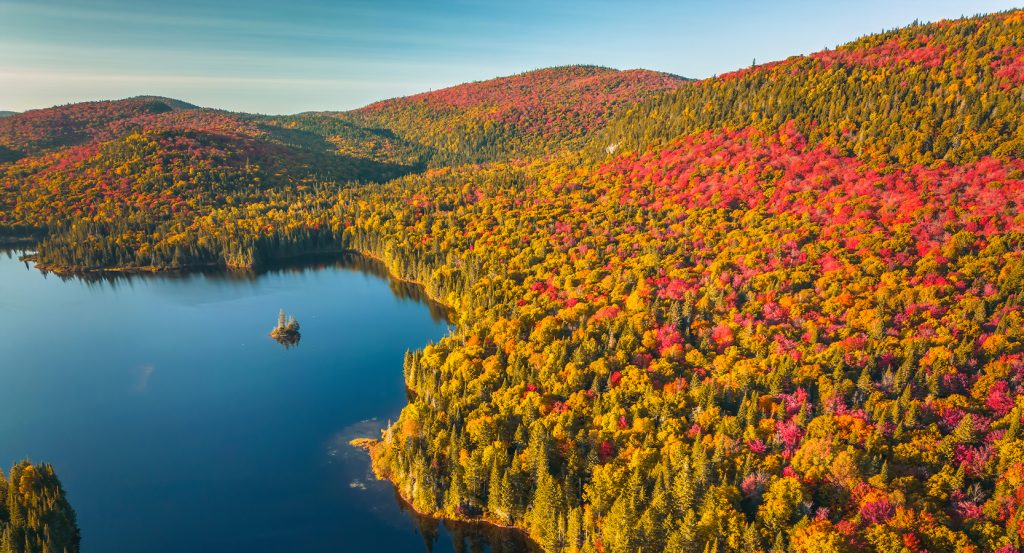 Golden, crimson, and orange leaves blanket the hills of Mont-Tremblant during peak fall.