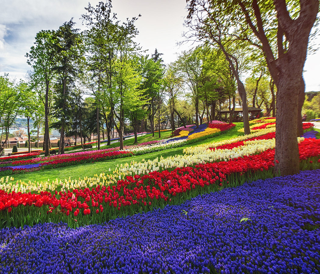 5 fascinations about Istanbul
