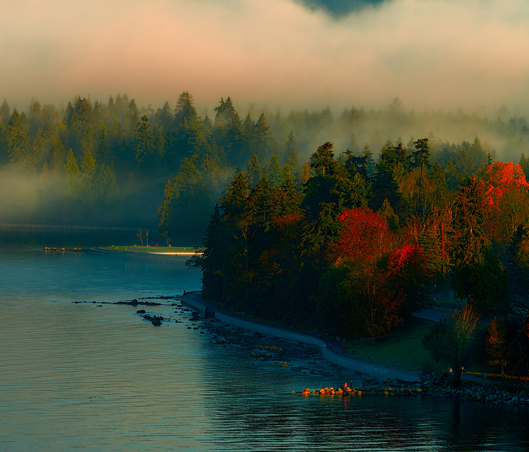 5 fascinations about Vancouver