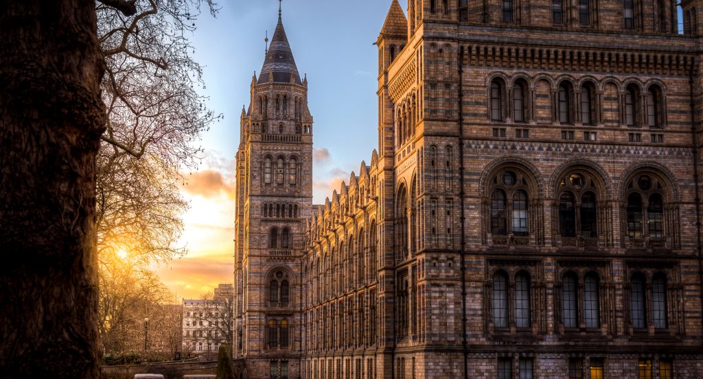 Towering neo-Romanesque architecture in London glowing beneath a winter sunset.