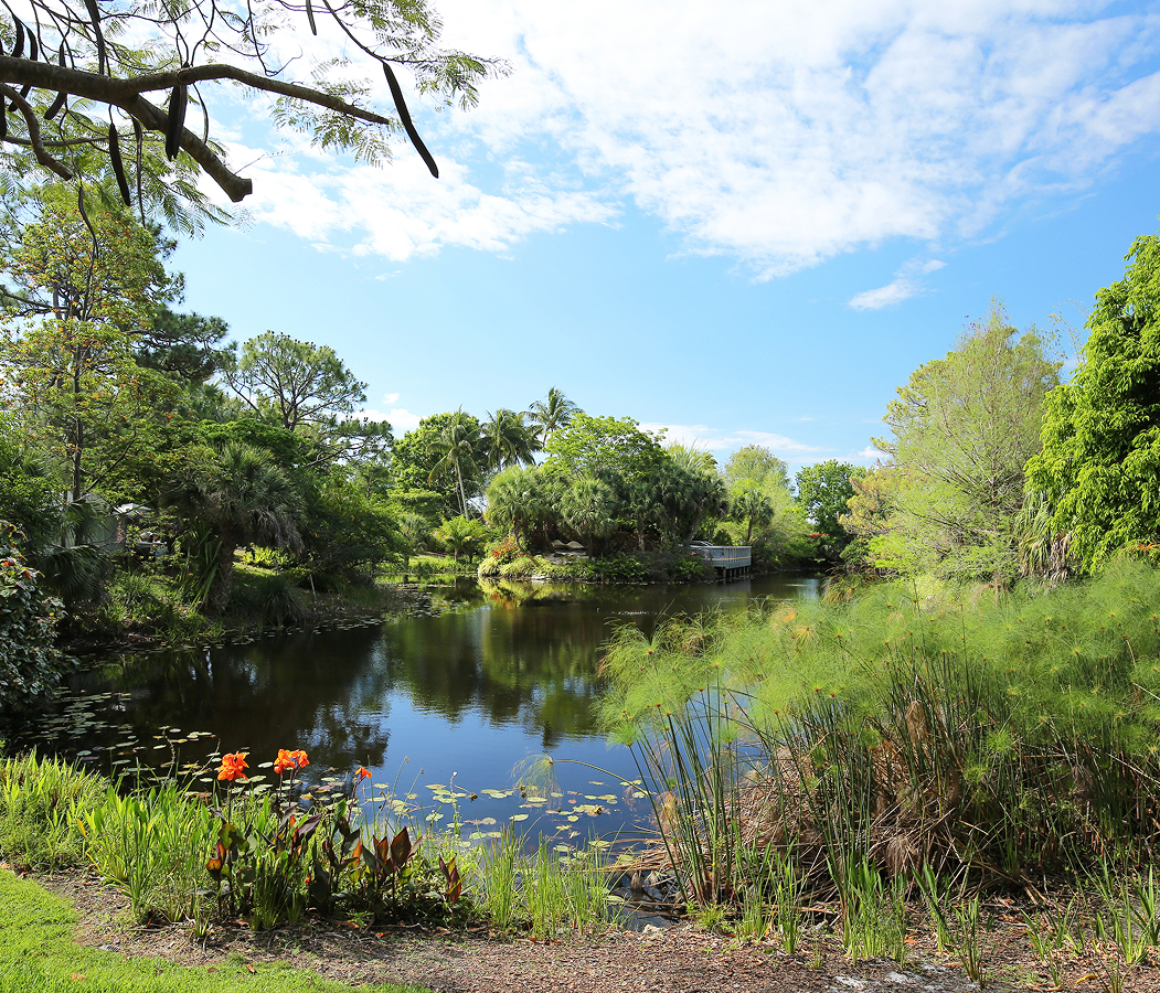 5 fascinations about West Palm Beach