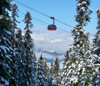 Whistler Peak 2 Peak Gondola floating above a snowy alpine forest with distant mountain views.