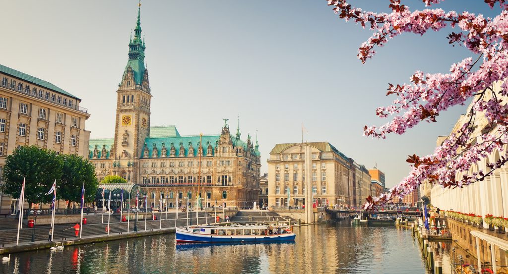Cherry blossoms frame a canal boat cruising past the grand Hamburg Rathaus with its turquoise spire under a golden morning sky.