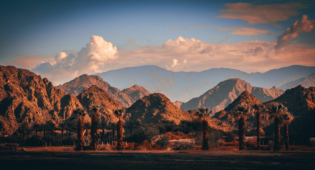 Moody view of Palm Springs’ rugged terrain with silhouetted palms and layered mountains beneath soft evening clouds.