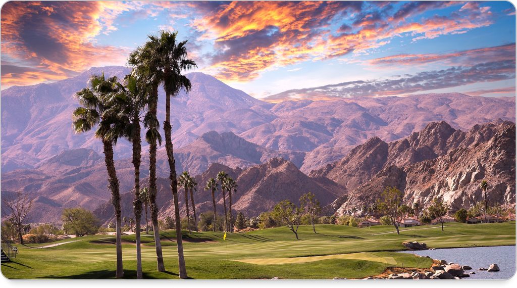 Mid-century modern homes framed by swaying palm trees and a cloudless desert sky.