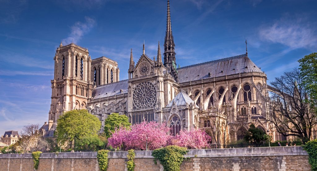 Springtime bloom along the Seine River with Gothic architecture in the background