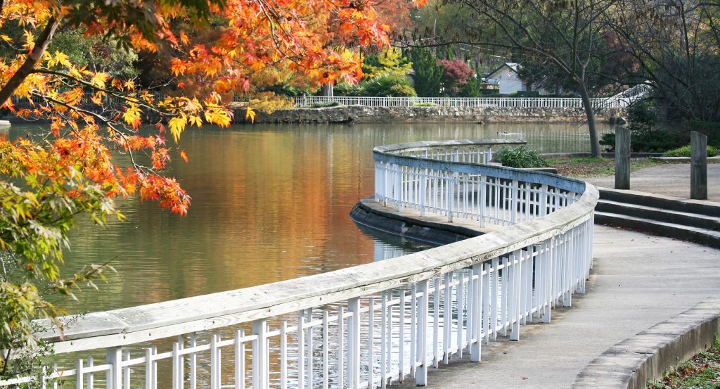 Scenic lakeside path surrounded by fall colors and quiet reflections in Raleigh, North Carolina.