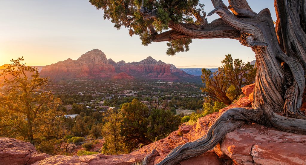 Golden hour view over Sedona’s red rock cliffs, with twisted juniper trees framing boutique desert lodges below.