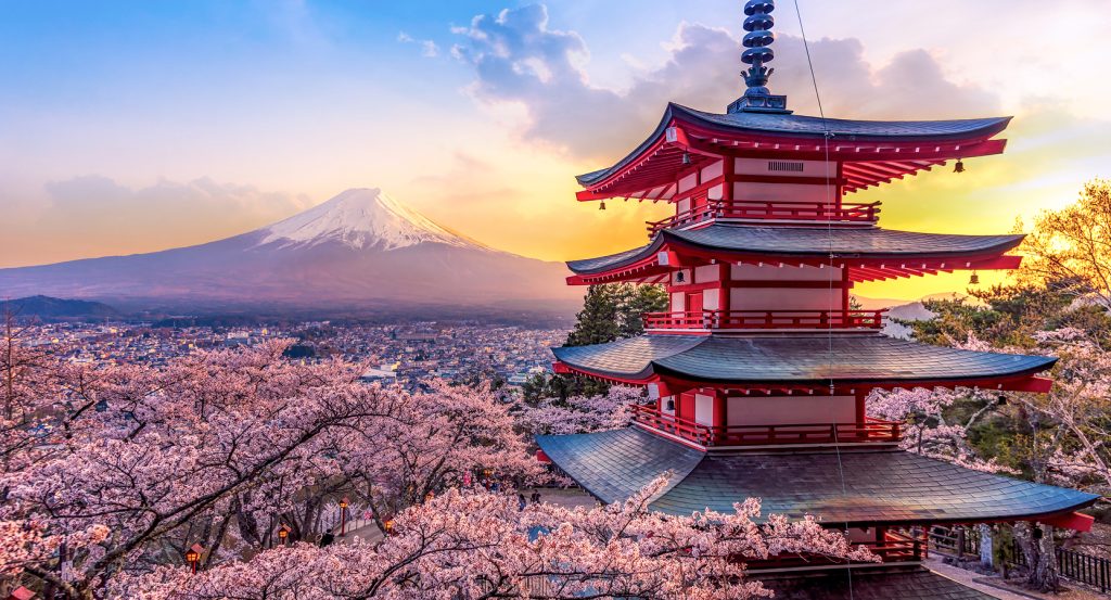 Cherry blossoms and pagoda in Tokyo at sunset with Mount Fuji in the distance