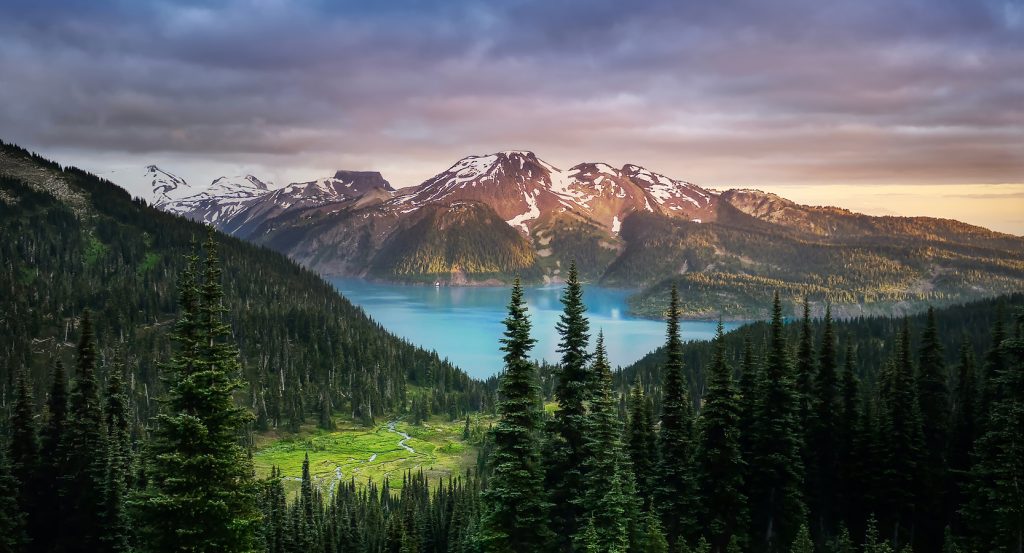 Alpine view of Whistler’s backcountry showing forested slopes, glacier-fed water, and rugged peaks at dusk.