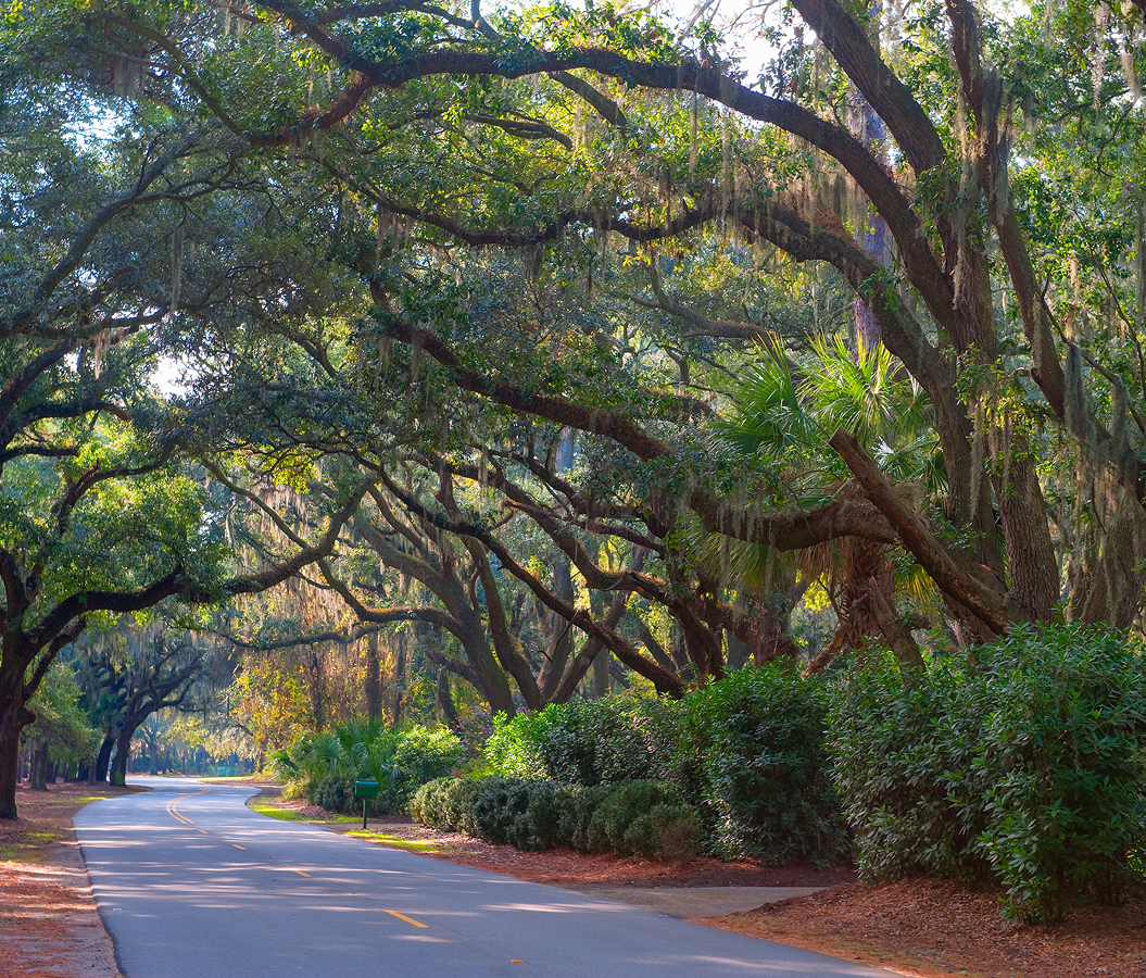 A perfect weekend in Hilton Head