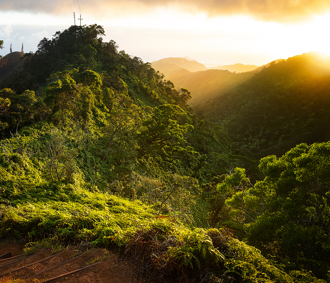 Top things to do in Honolulu