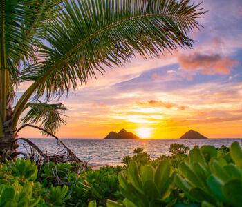 Palm tree framing sunrise over the ocean in Kailua, Hawaii, with twin islets on the horizon