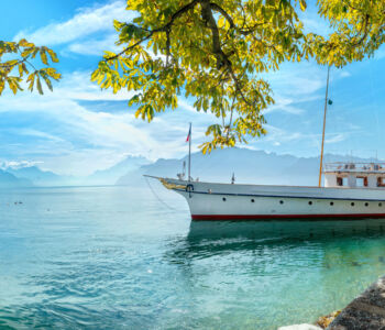 White sailboat on Lake Geneva with tree branches and distant Alps under a bright blue sky.
