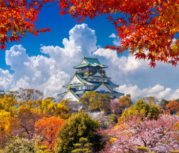 Osaka Castle in Japan surrounded by autumn foliage under a clear blue sky